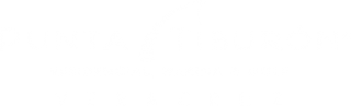 bco__PuntaTiburon